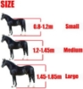 صورة راسية خيل مع لجام و سحبة 