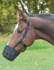صورة كمامة خيل صيني L (كبير)