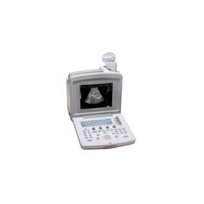 صورة جهاز فحص حمل مع بروبين ( Probe Convex AND liner   ) ويد 180V الاصلي WELLD